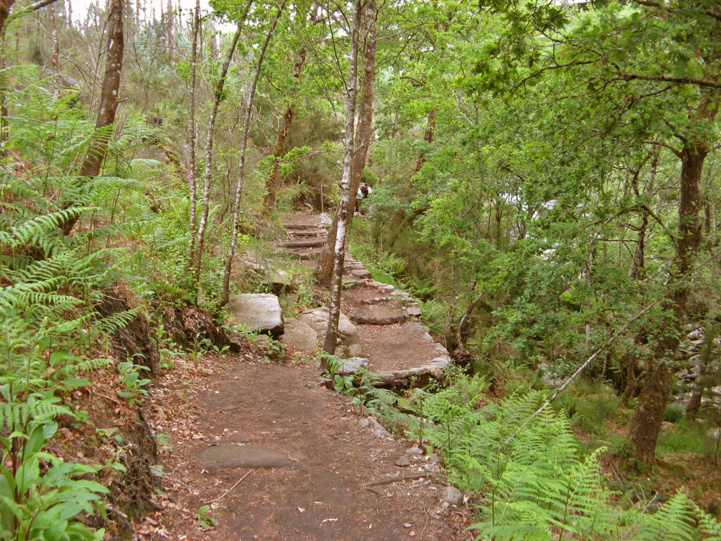 Pozas de Melón