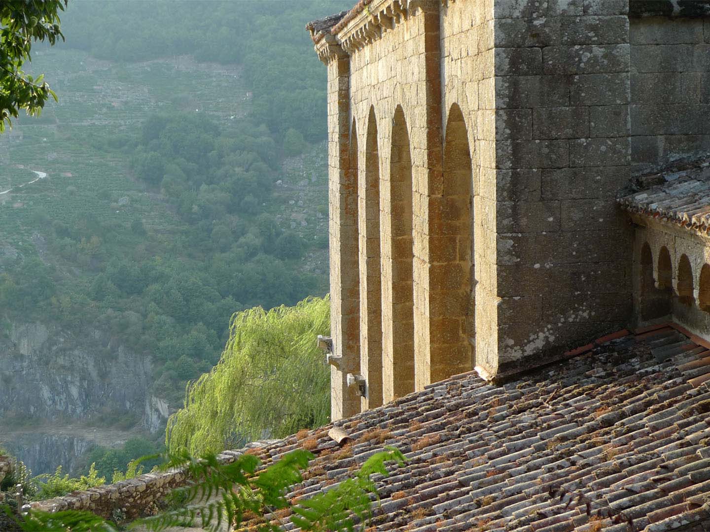 Santo Estevo de Ribas de Miño