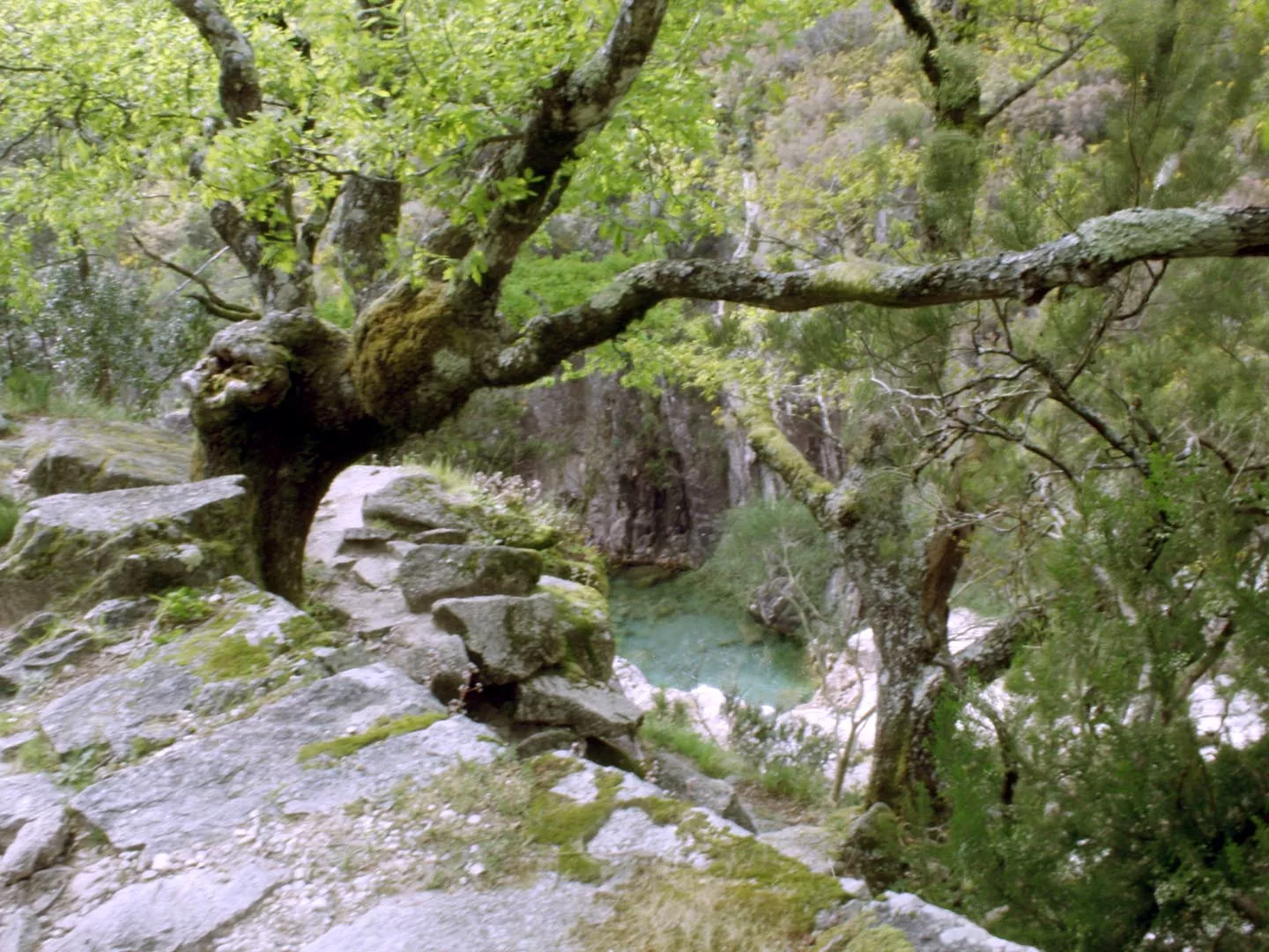 Parque Natural da Serra do Xurés 