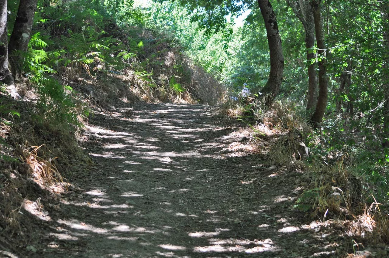 Sendero - Cascada de Auga Caída